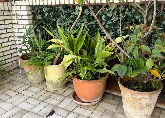 Daire Bilborock By Zazpikaleak